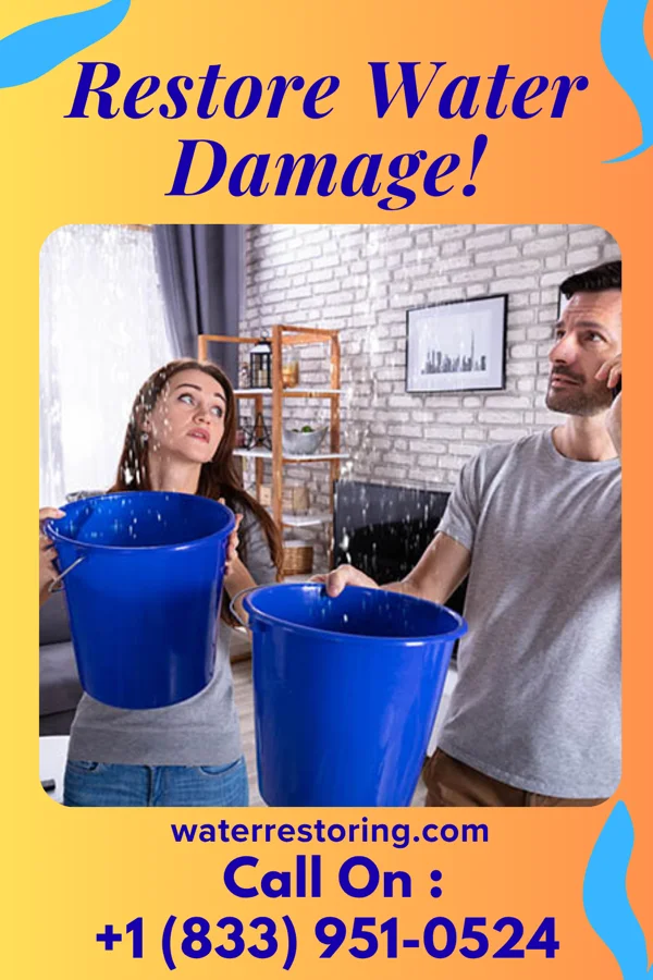 water restoration Elite Water Damage Force Colonial Beach