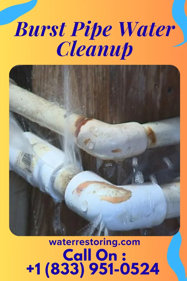Burst Pipe Water Cleanup in Colonial Beach, VA