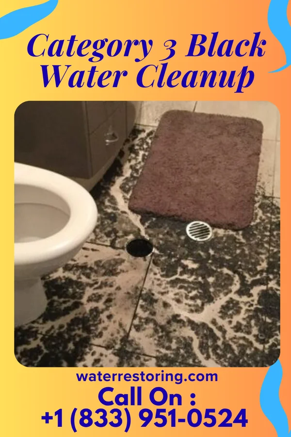 Category 3 Black Water Cleanup in Colonial Beach, VA