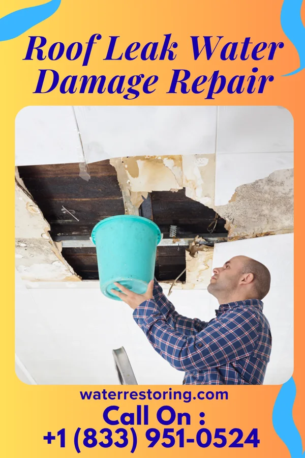Roof Leak Water Damage Repair in Colonial Beach, VA