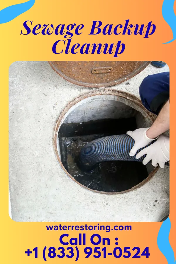 Sewage Backup Cleanup in Colonial Beach, VA