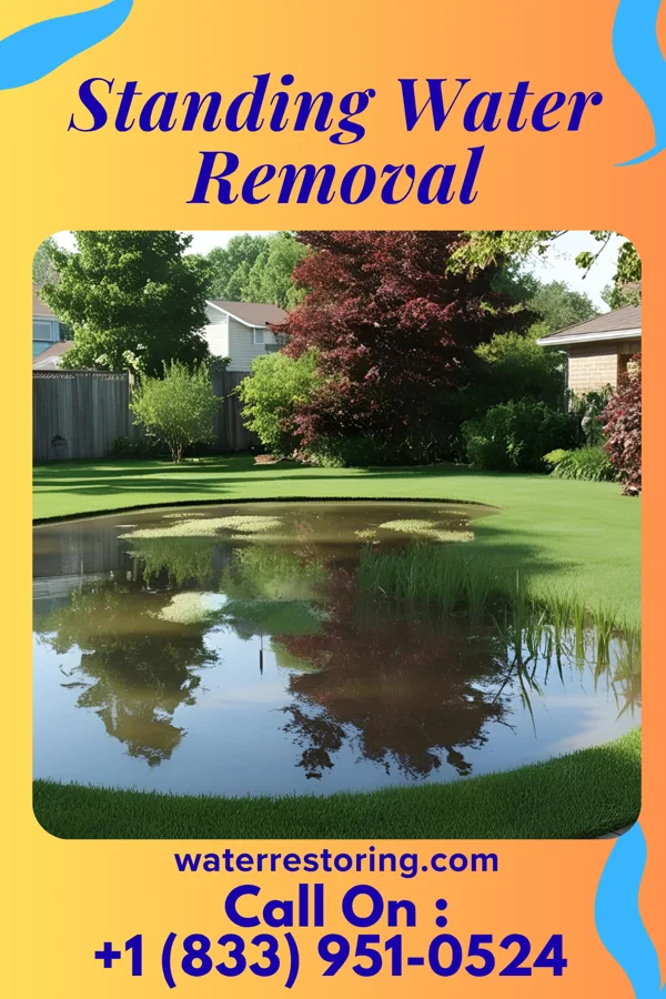 Standing Water Removal in Colonial Beach, VA